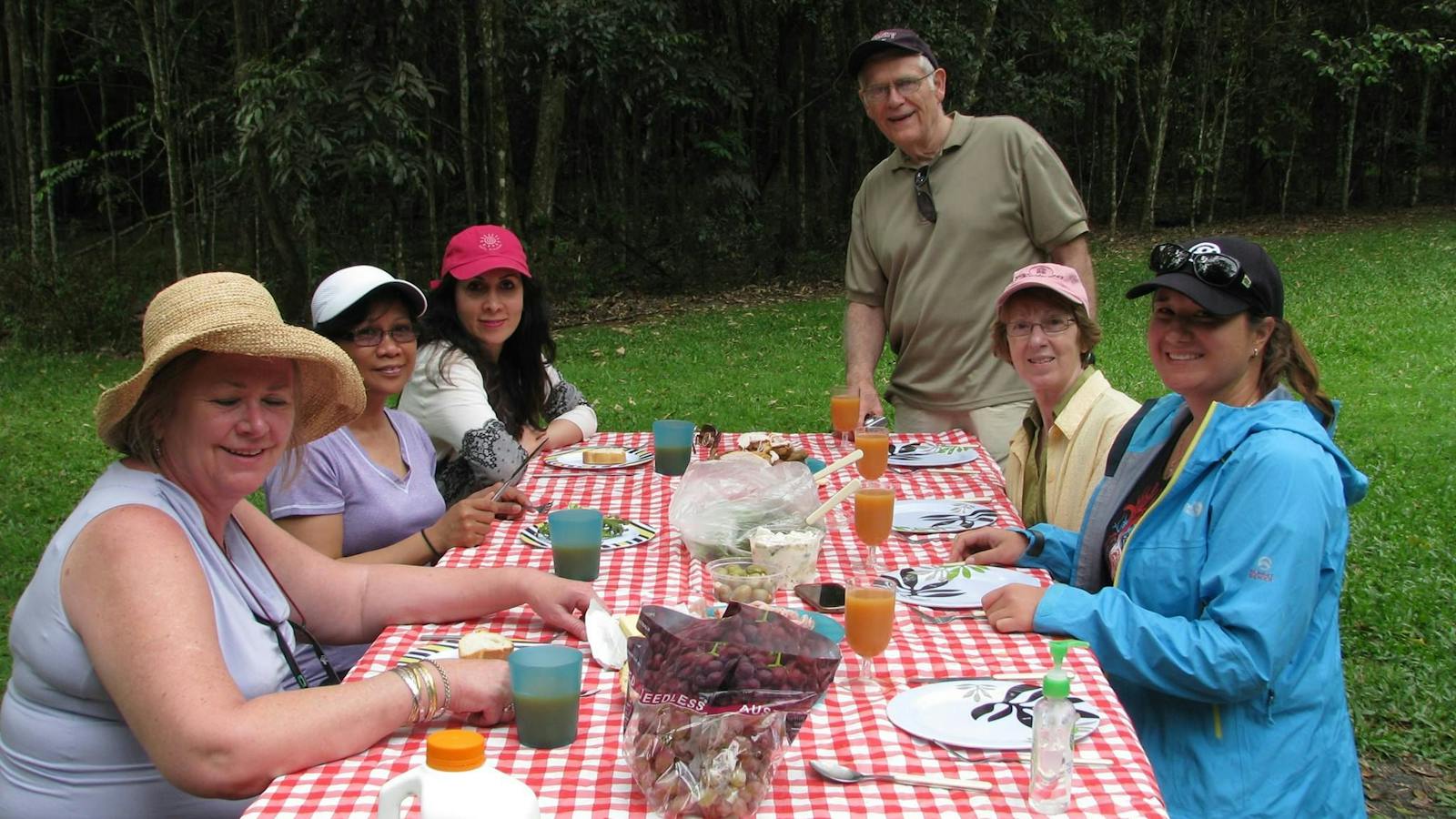 Picnic lunch