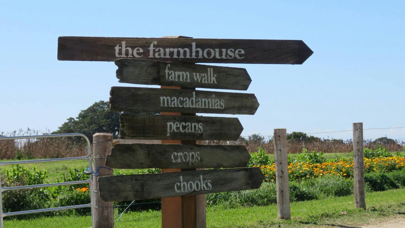The Farm