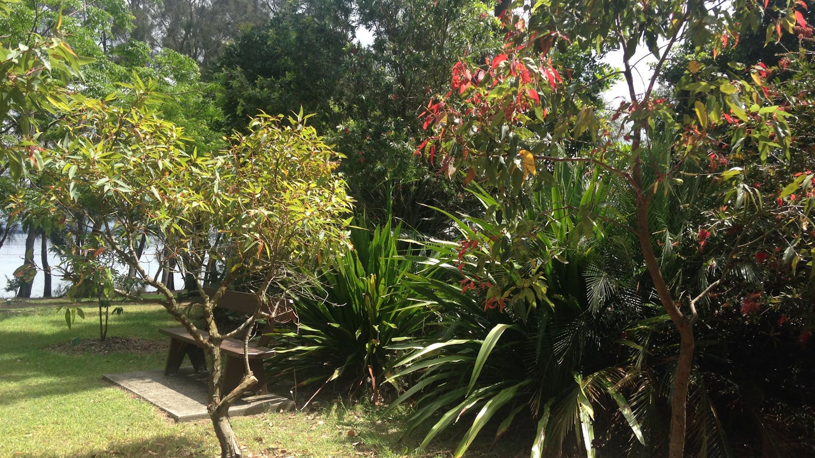 Sensory Gardens