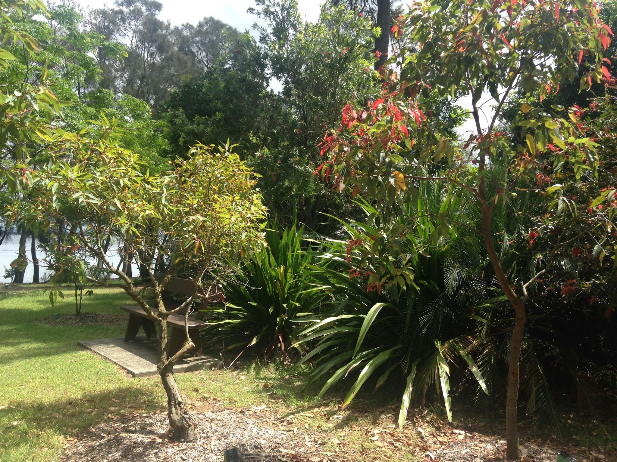 Sensory Gardens