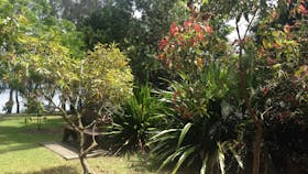 Sensory Gardens