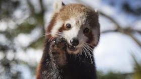 Symbio Wildlife Park