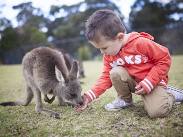 Symbio Wildlife Park