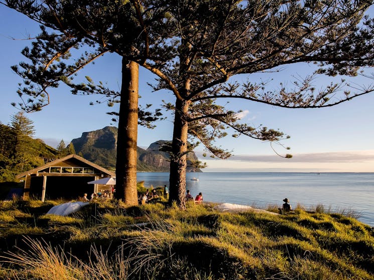 Relax at the Pinetrees boatshed
