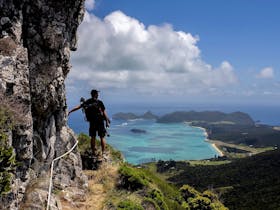 Walking and Photography Week at Pinetrees Lord Howe Island Cover Image