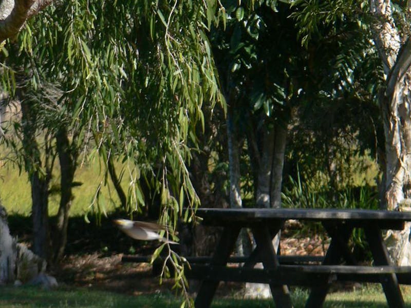 Windara nursery function centre casino