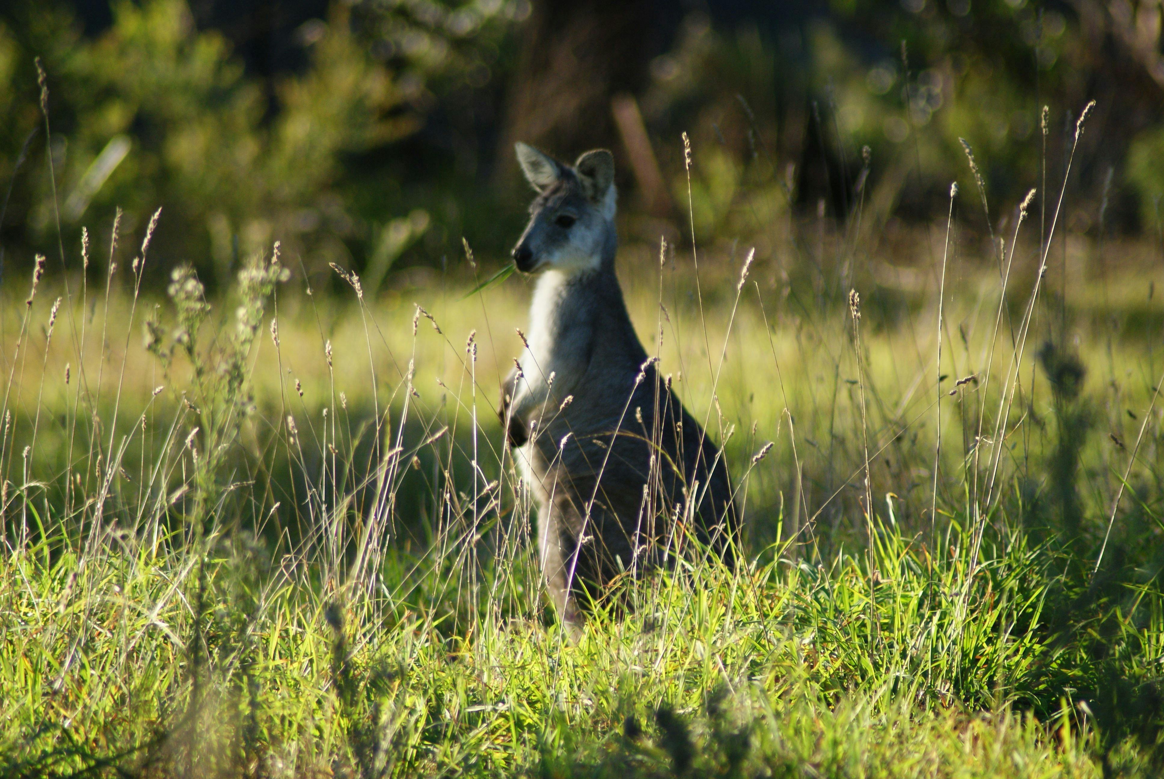 Boutiques Tours Australia