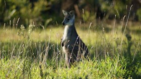 Boutiques Tours Australia