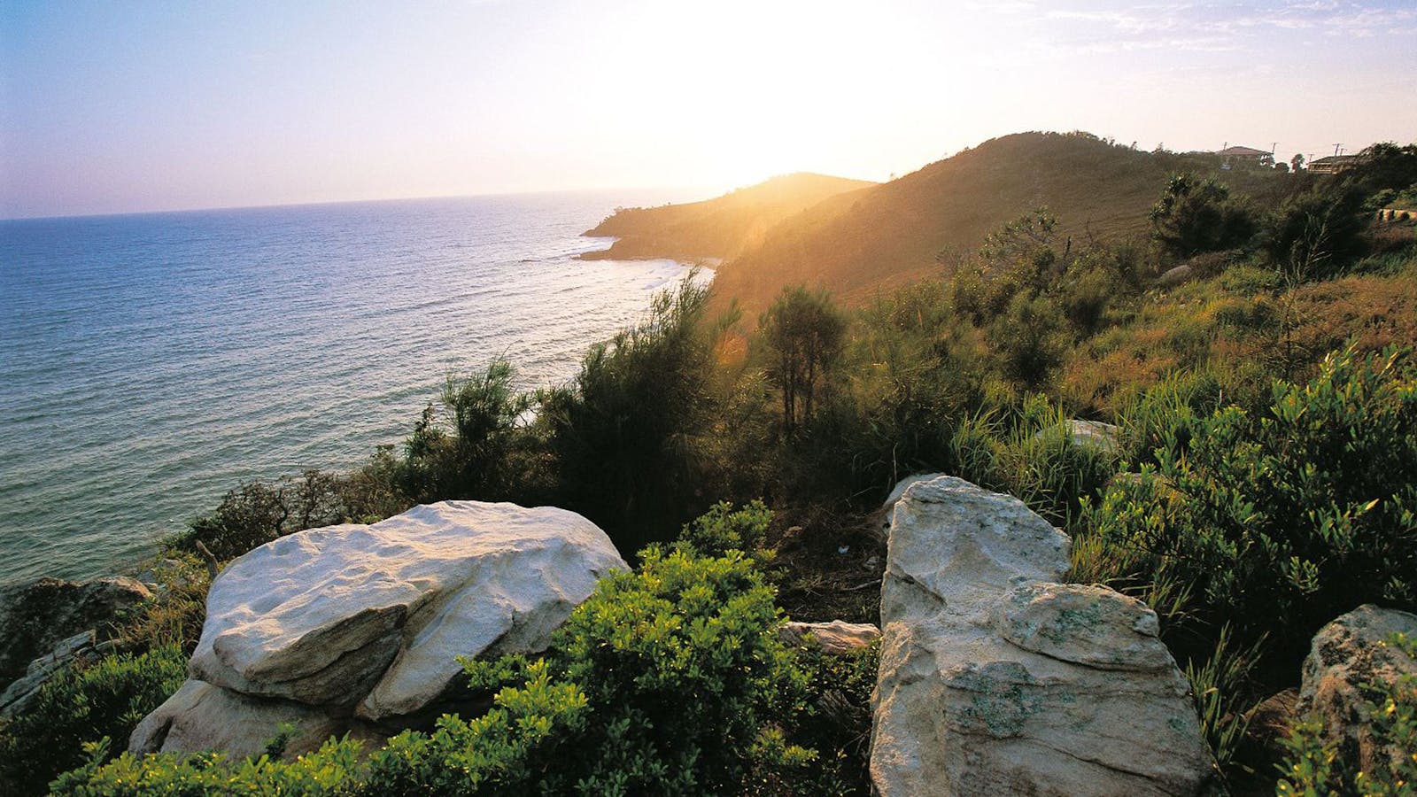Goanna Headland