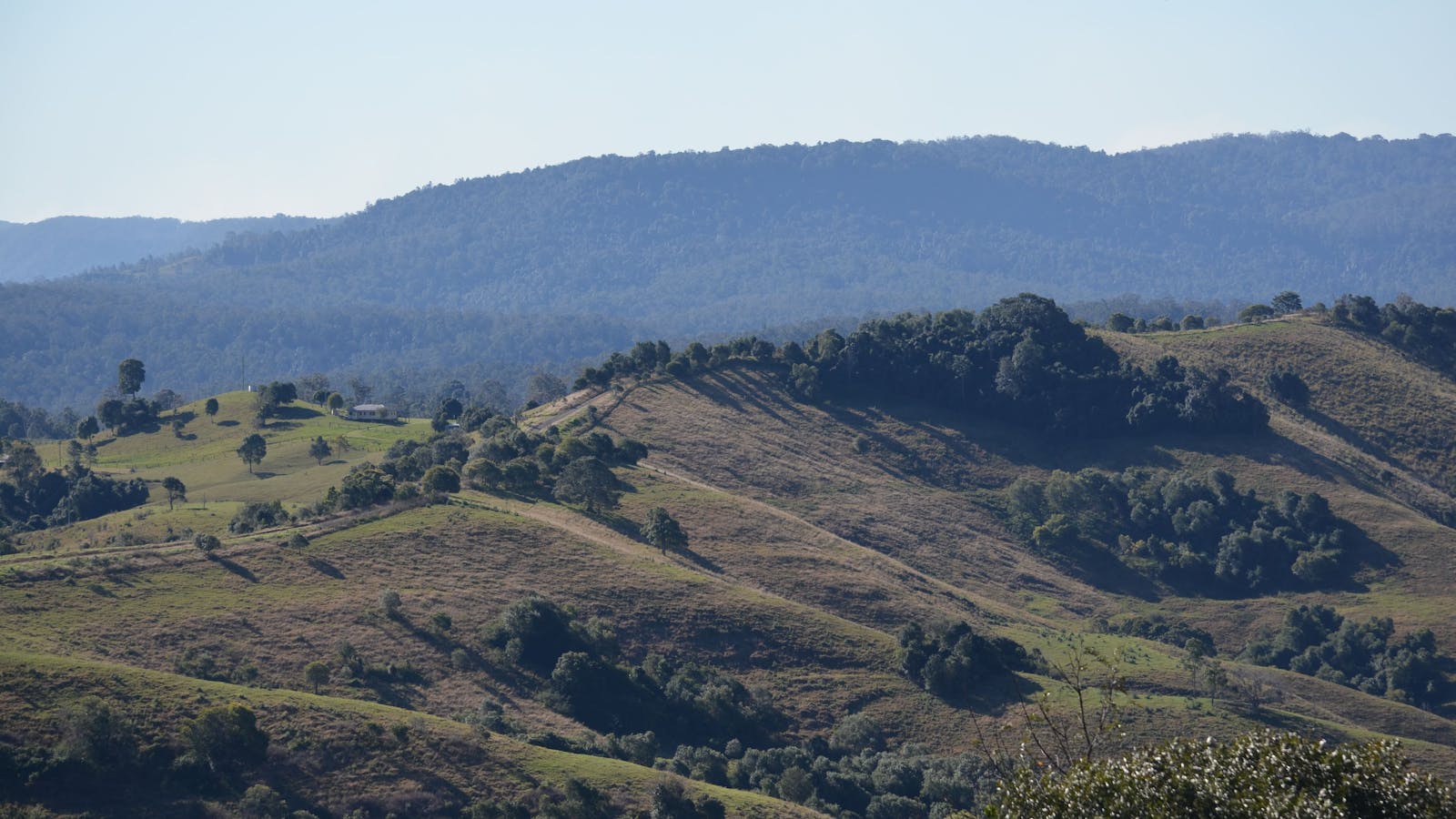 Mallanganee Lookout