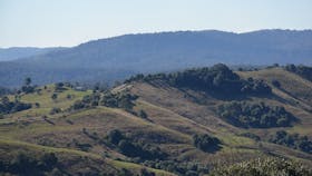 Mallanganee Lookout