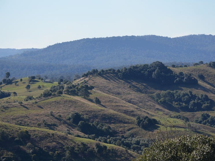 Mallanganee Lookout