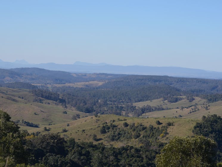 Mallanganee Lookout