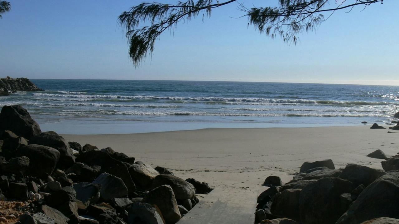 Shark Bay Evans Head
