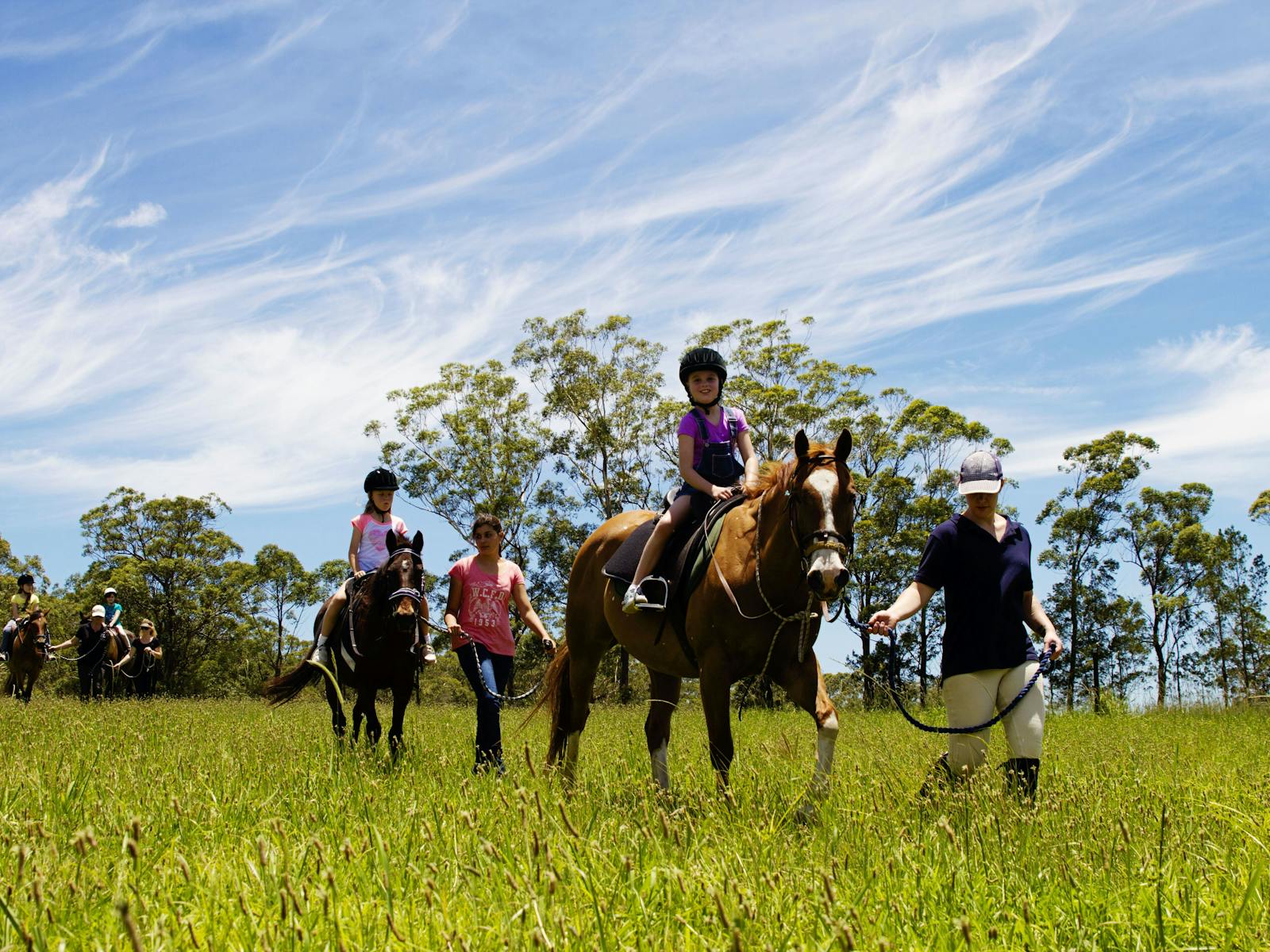 Beginner Trail Ride