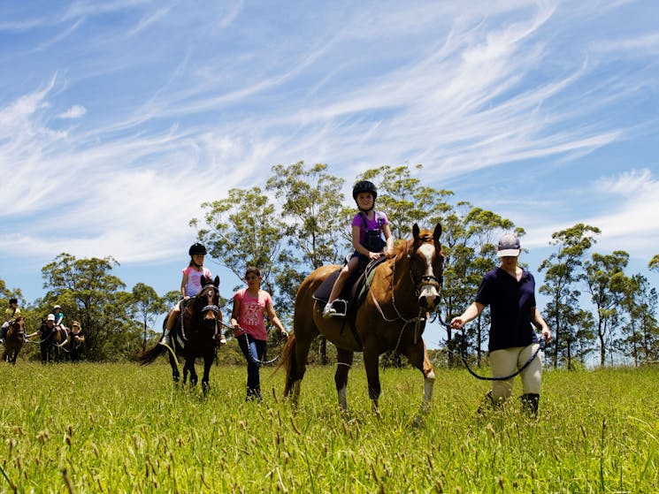 Beginner Trail Ride
