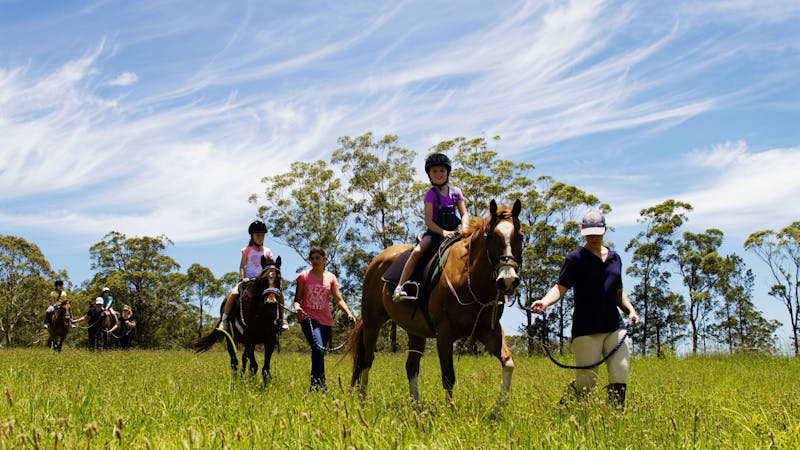 Port Macquarie Horse Riding Centre