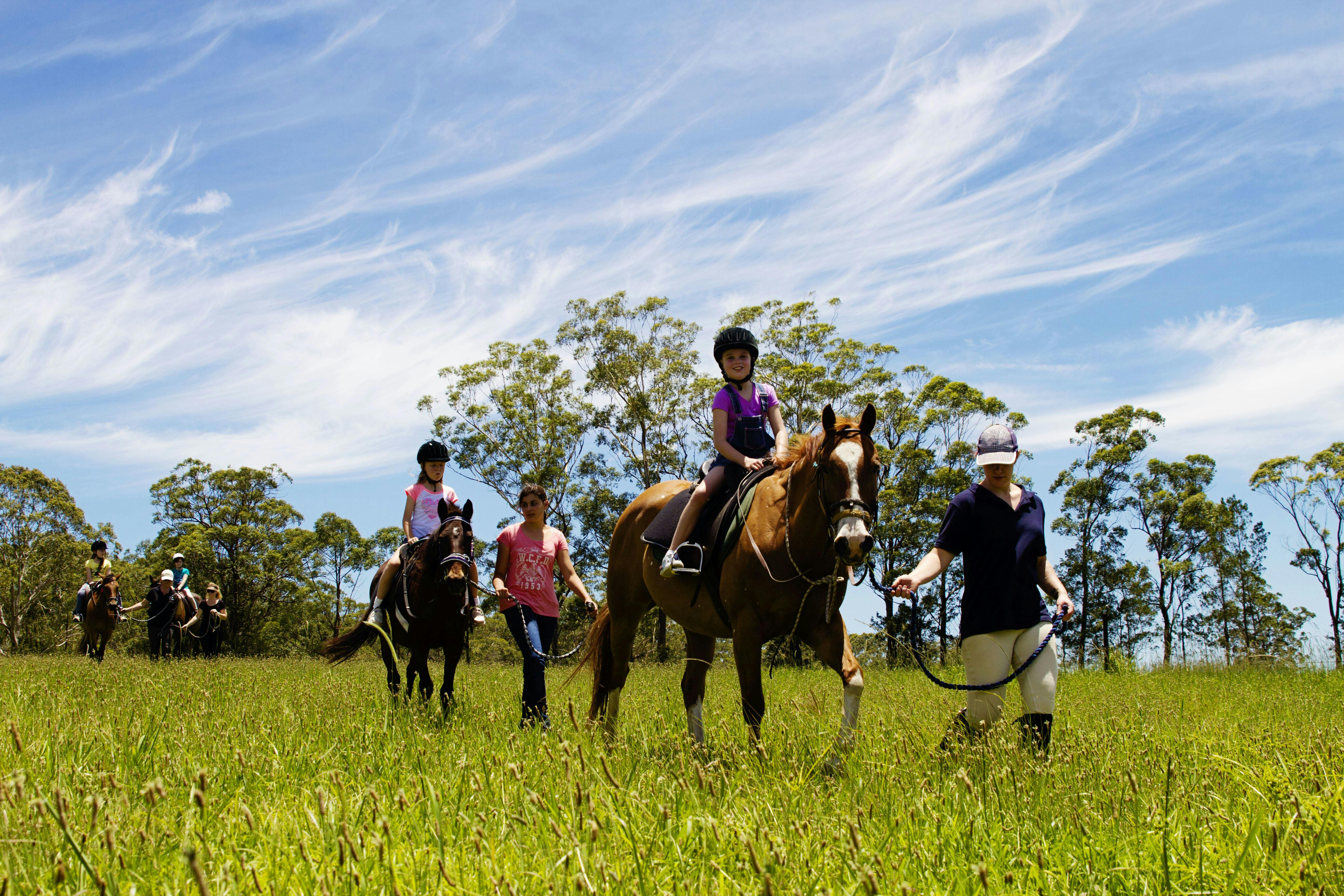 Port Macquarie Horse Riding Centre NSW Holidays &