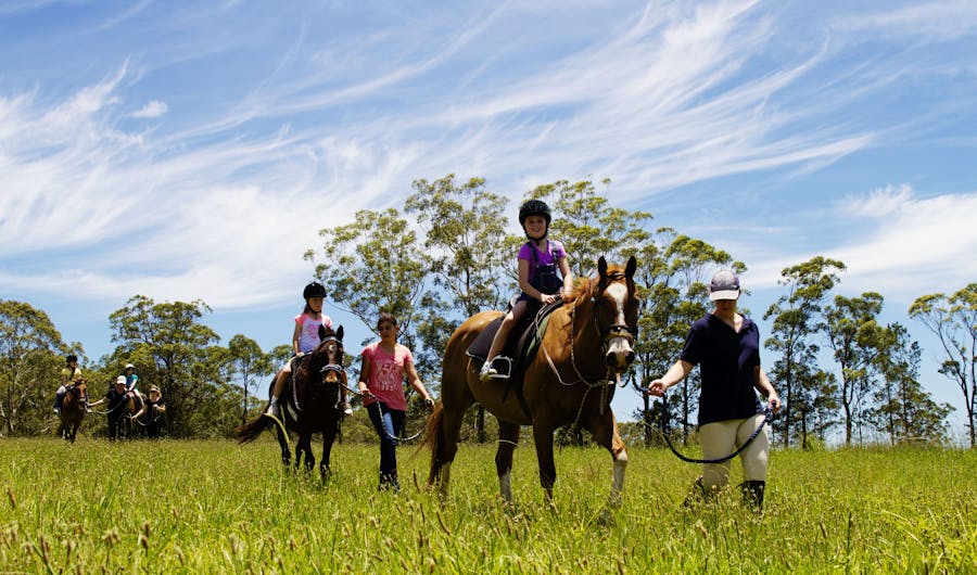 Port Macquarie Horse Riding Centre Port Macquarie Horse Riding Centre