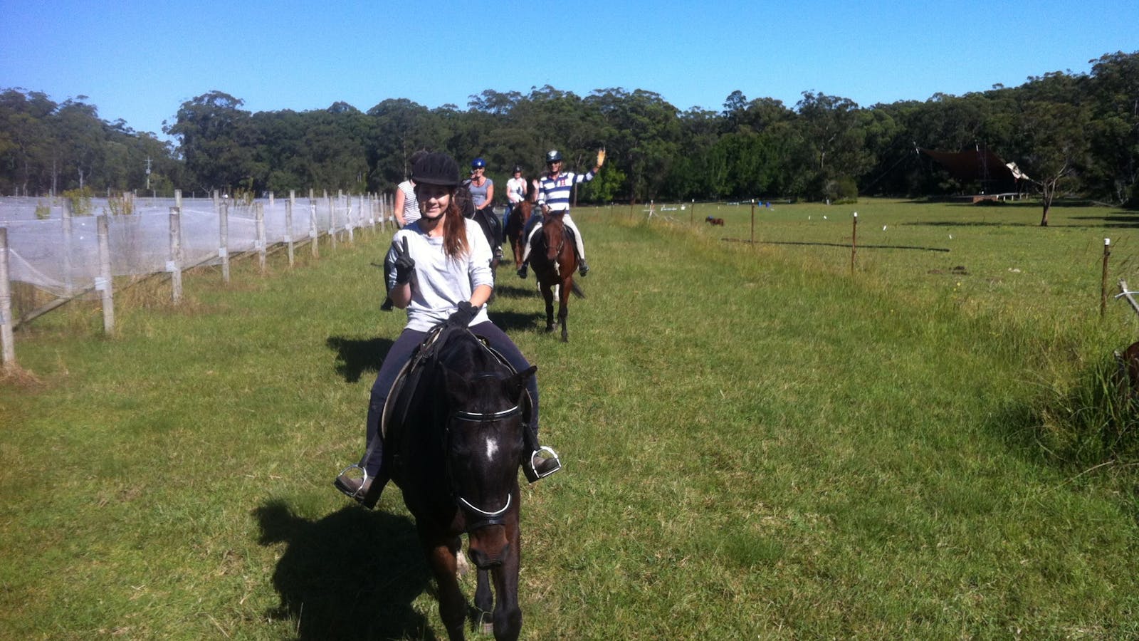 Port Macquarie Horse Riding Centre