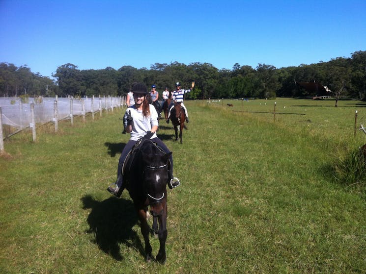 Group Horse Riding