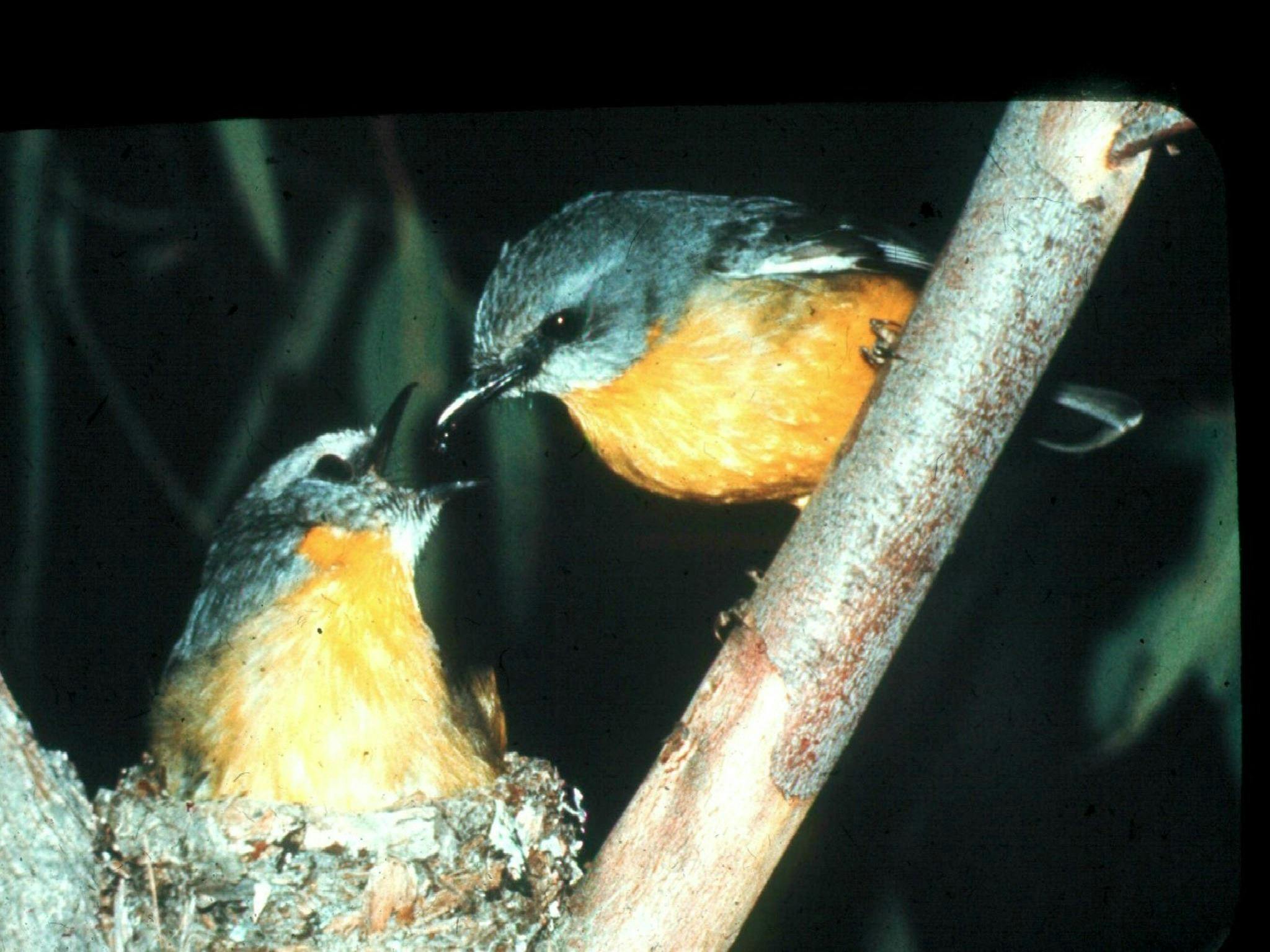 Self Drive Geology and Nature Trails