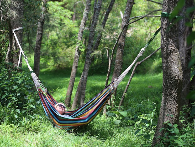 The Steps Campground - hammock nap