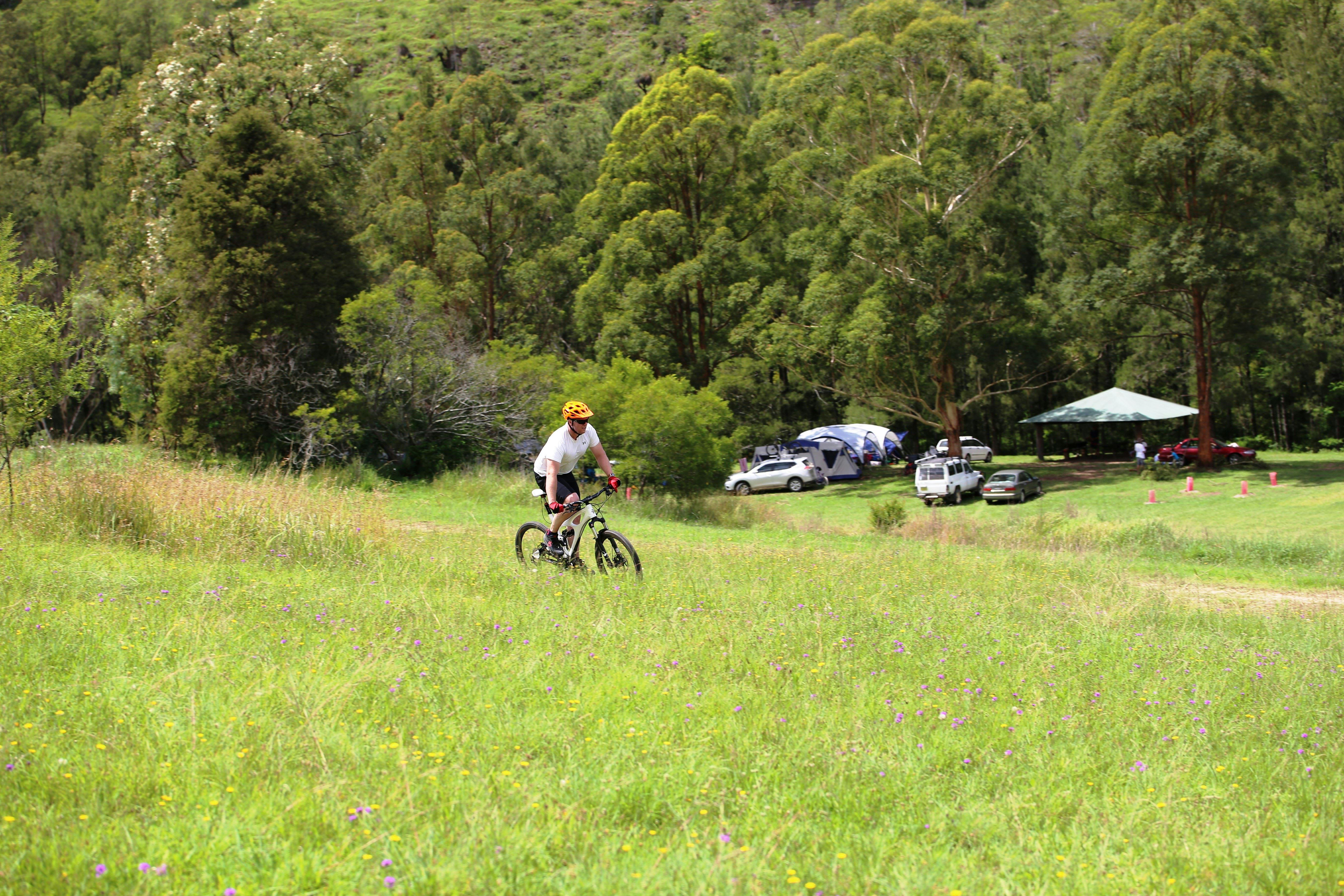 The Steps Barrington Mountain Bike Park Gloucester VisitNSW