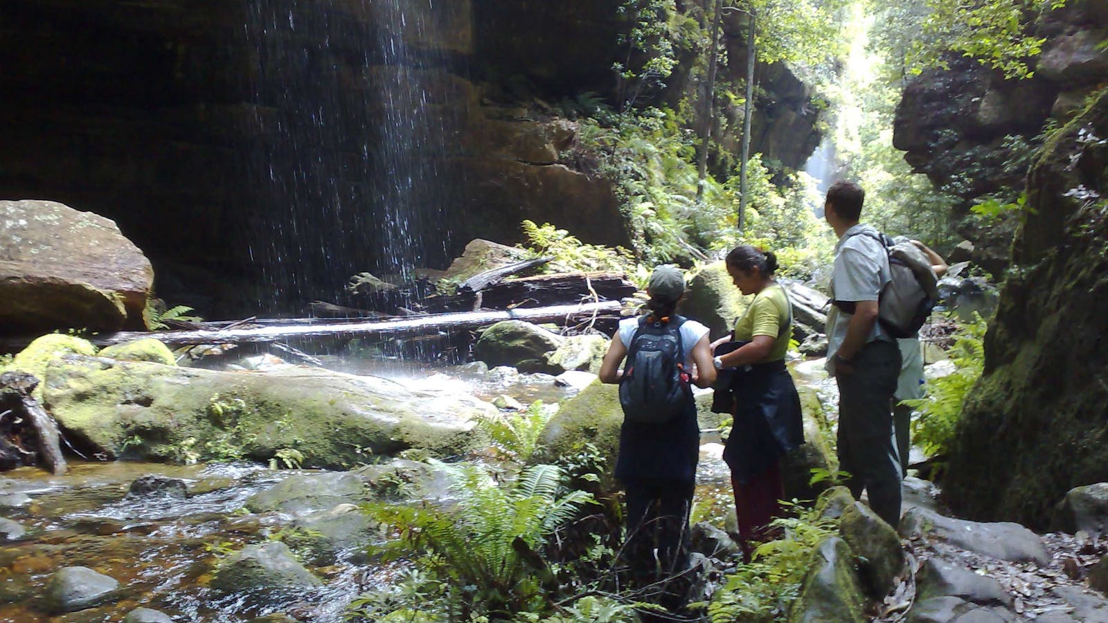 Tread Lightly Eco Tours