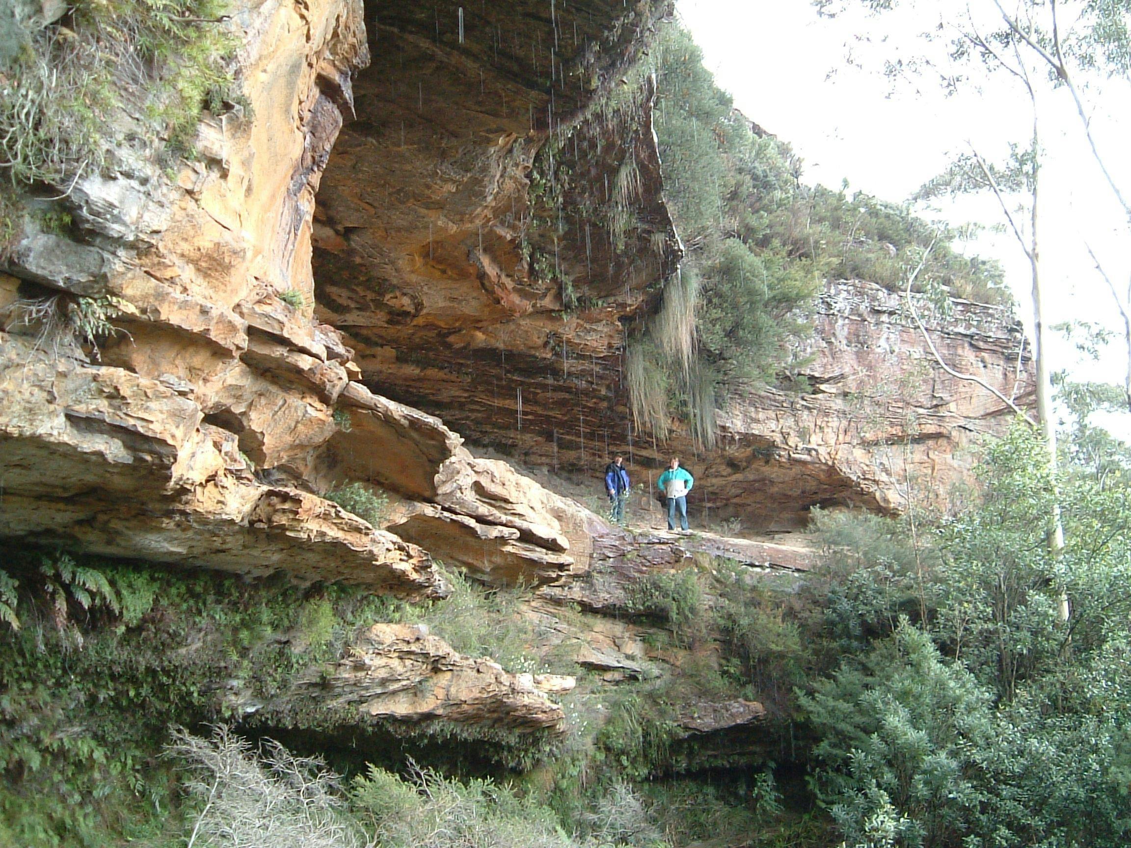 Hike with a qualified guide and explore the wilderness