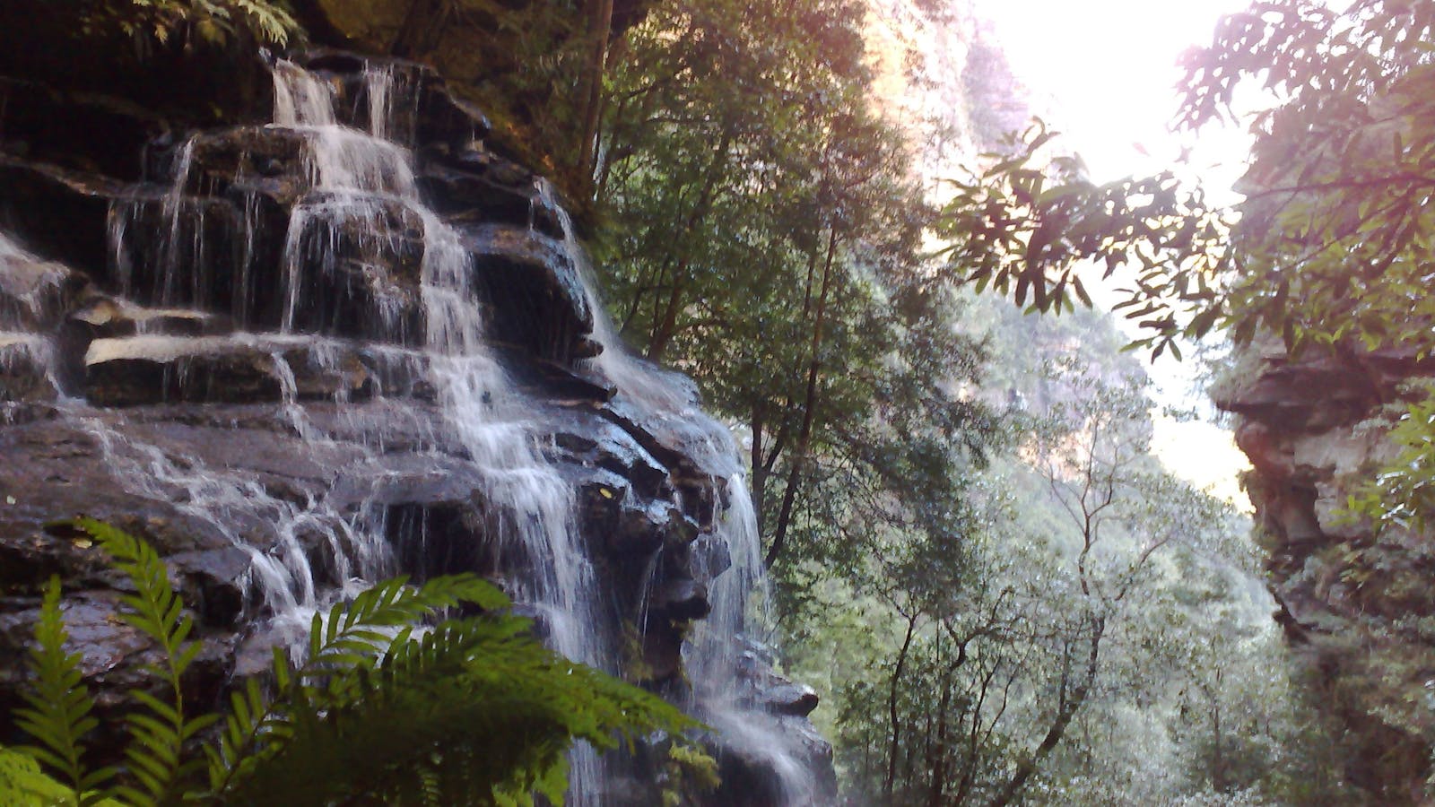 Tread Lightly Eco Tours