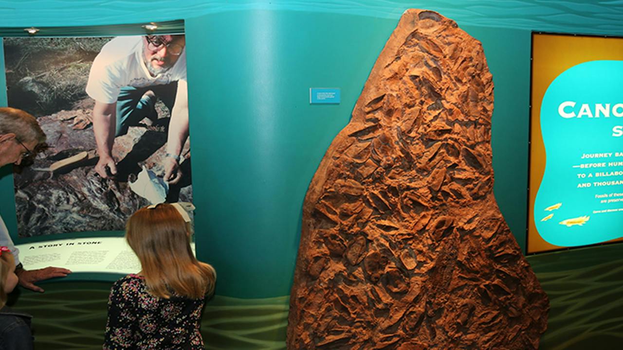 Age of Fishes Museum