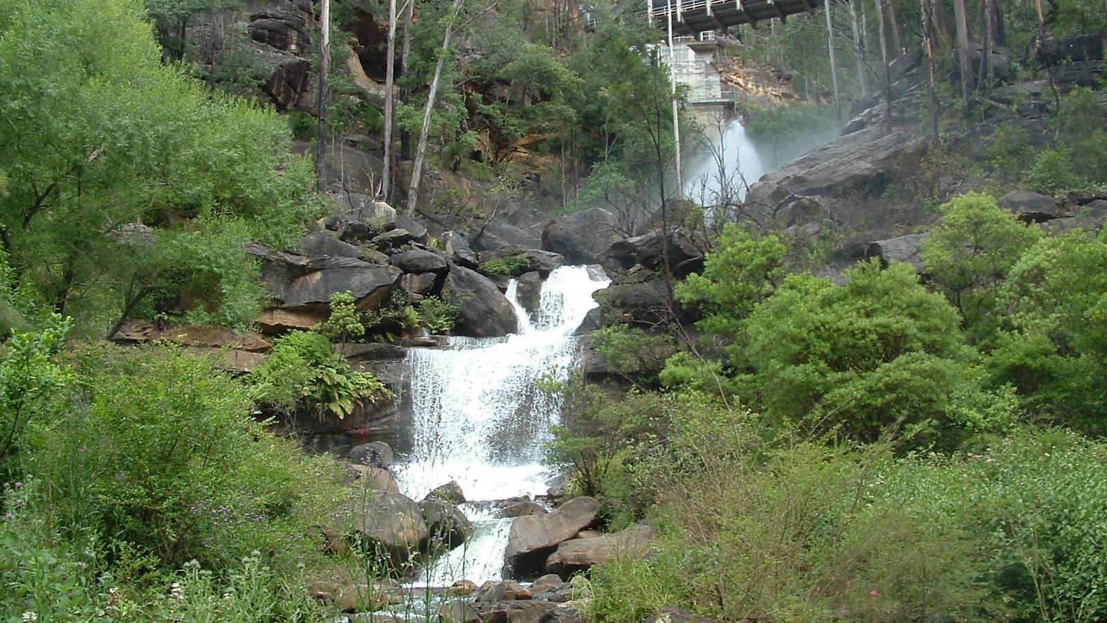 Nepean River Tours