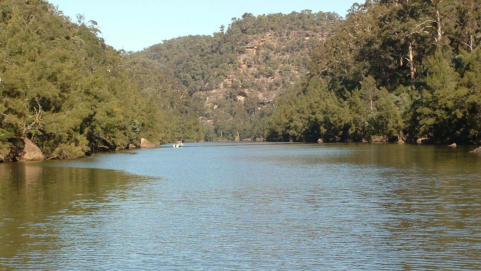 Nepean River Tours