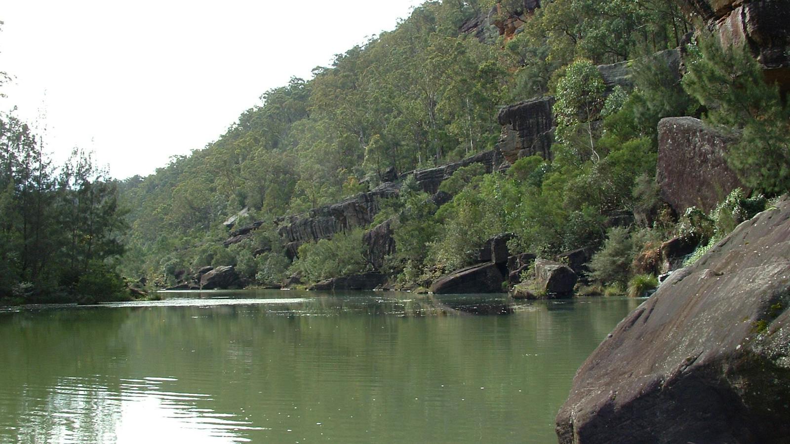 Nepean River Tours
