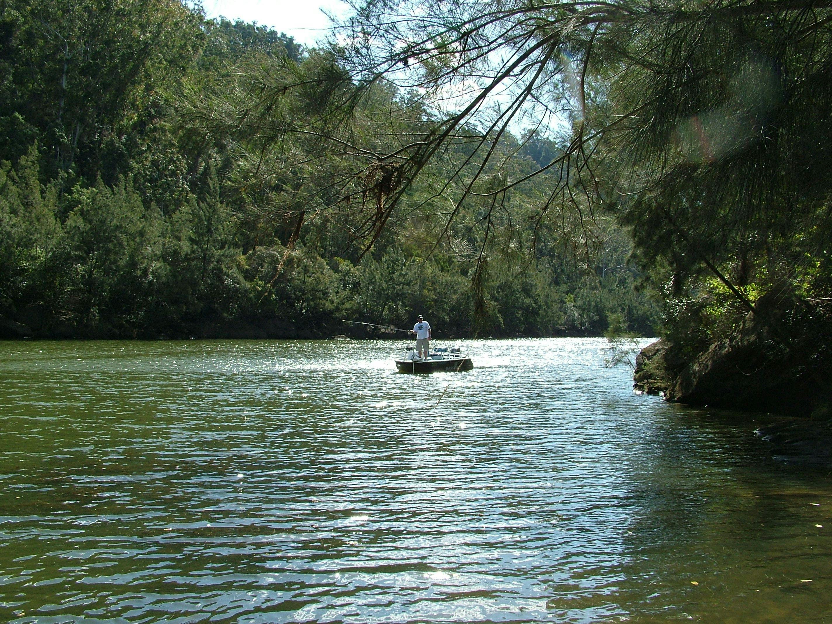 Nepean River Tours