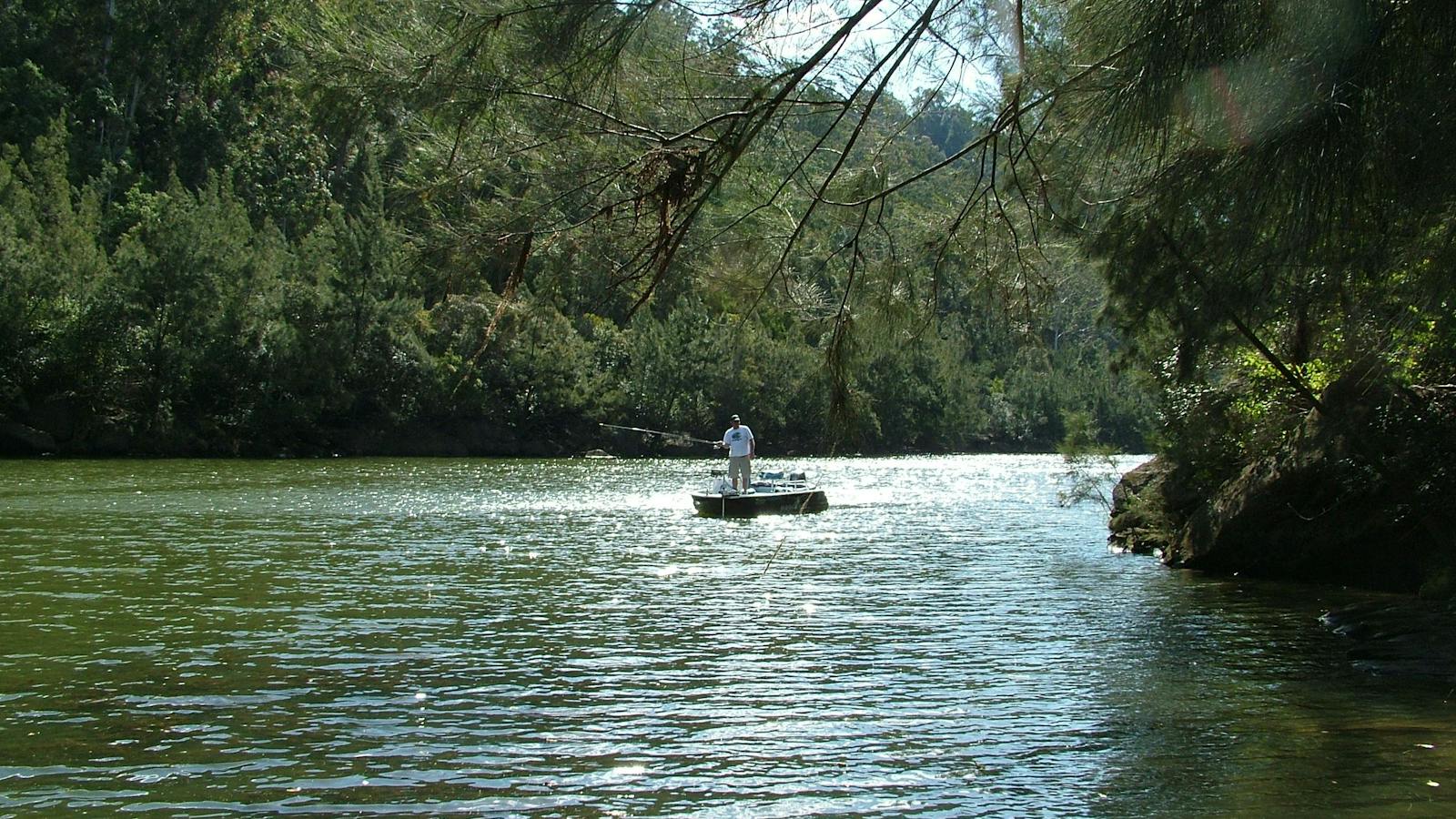 Nepean River Tours