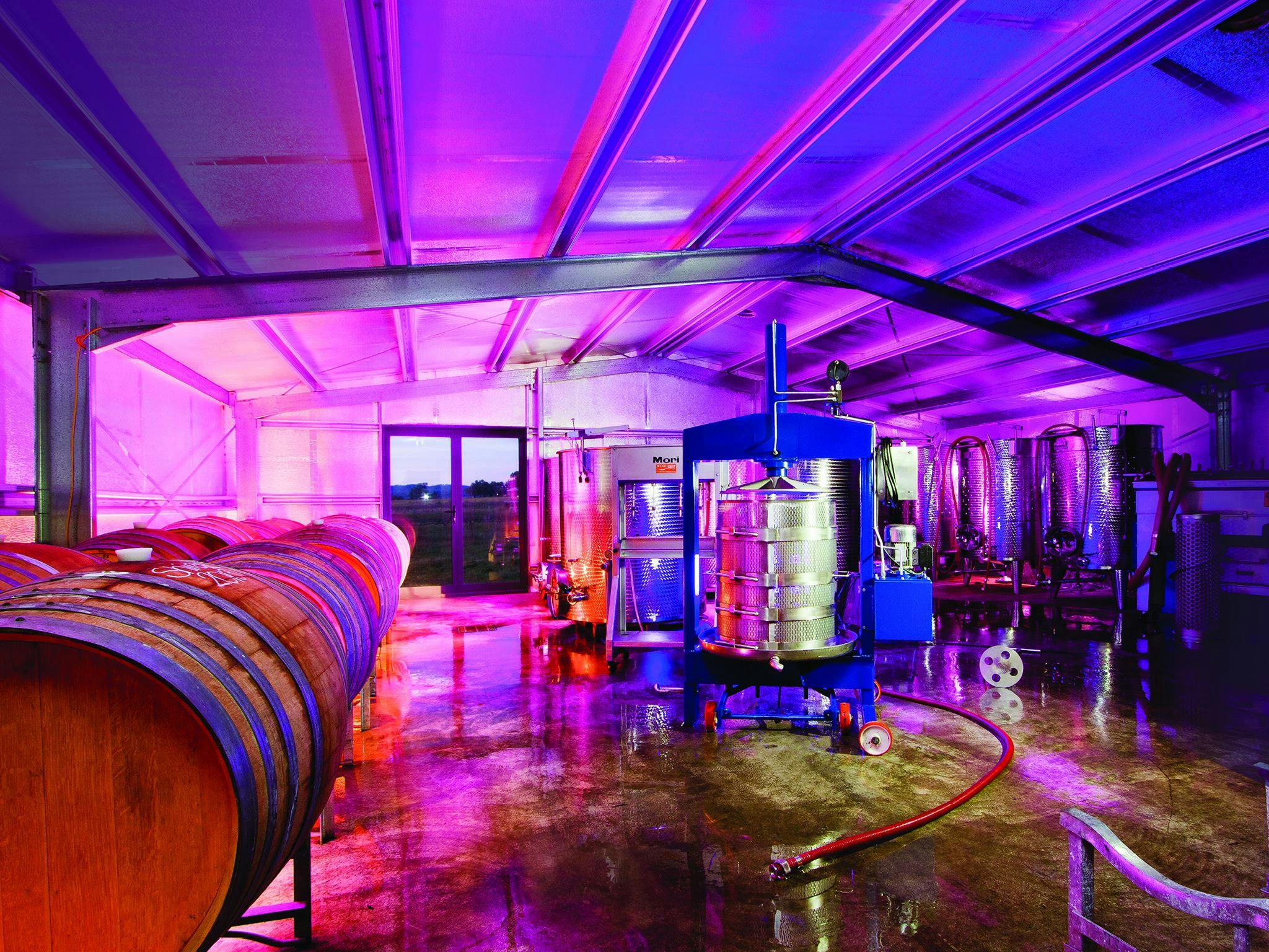 SHORT SHEEP Micro-Winery