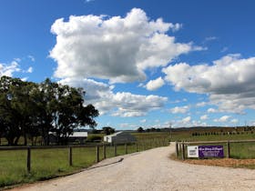 Short Sheep Micro-Winery