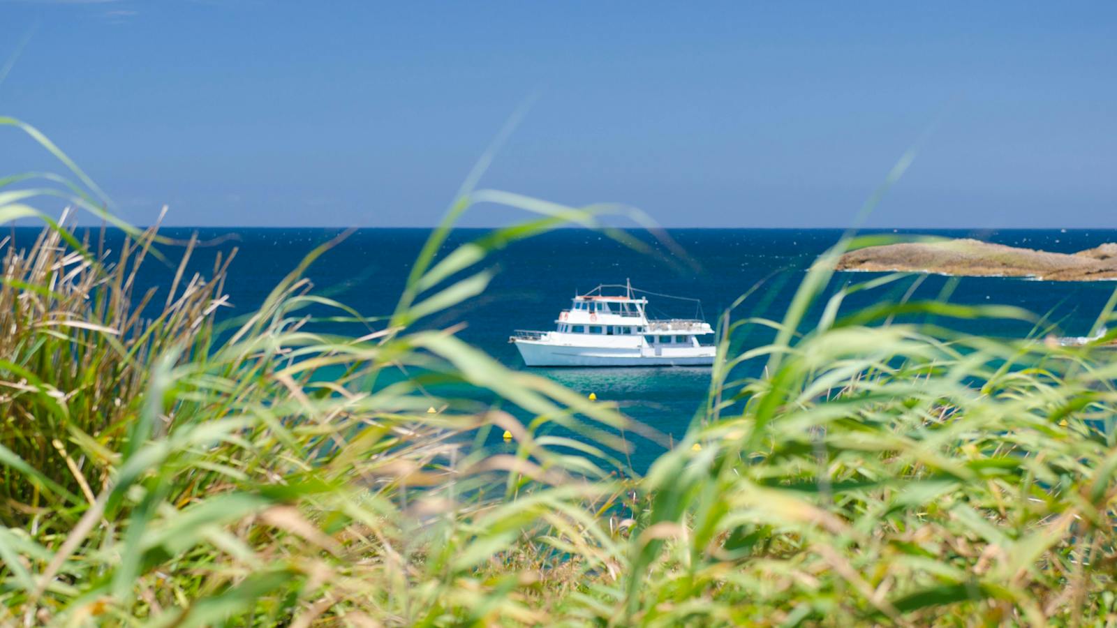 Moonshadow Cruises at Broughton Island