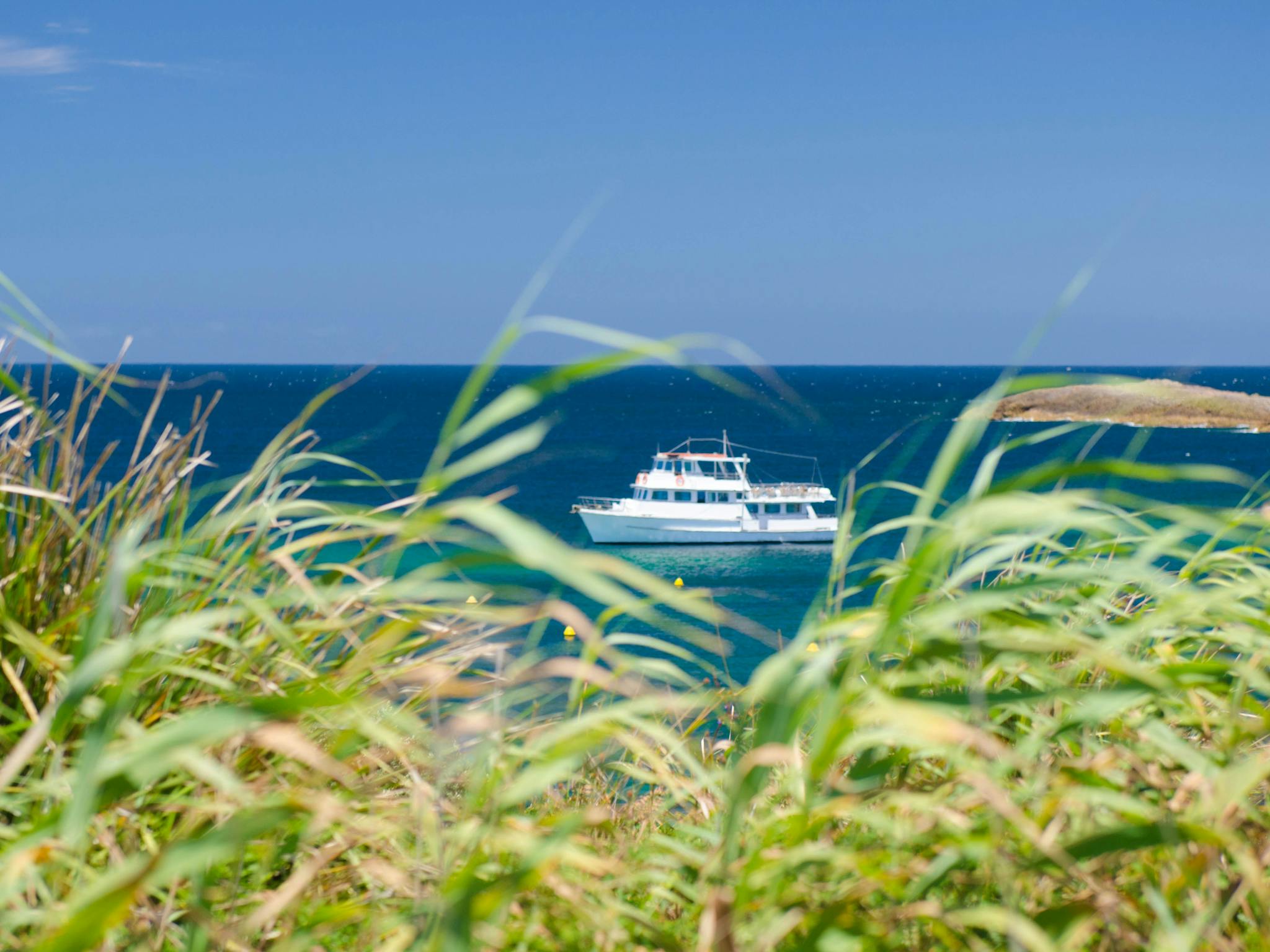 Moonshadow Cruises at Broughton Island