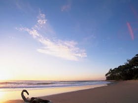 Mollymook