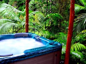Waterfall Hideout-Rainforest Cabin for Couples