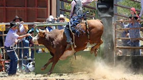 Jindabyne Rodeo