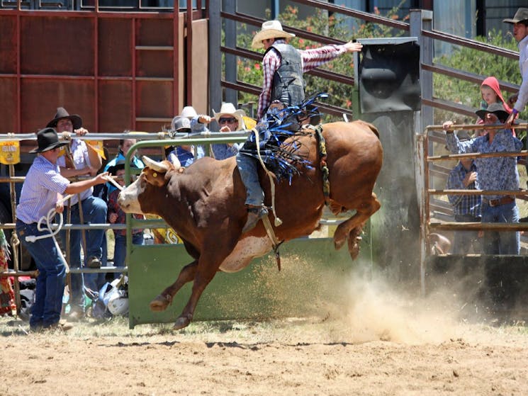 Jindabyne Rodeo