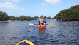 Ezy Kayaks Hawks Nest