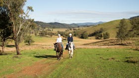 Tamworth and Kootingal Horse Riding Adventures