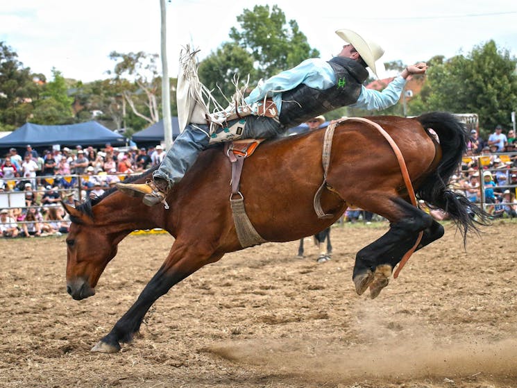 Jindabyne's Man From Snowy River Rodeo