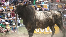 Jindabyne's Man From Snowy River Rodeo