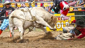 Jindabyne's Man From Snowy River Rodeo